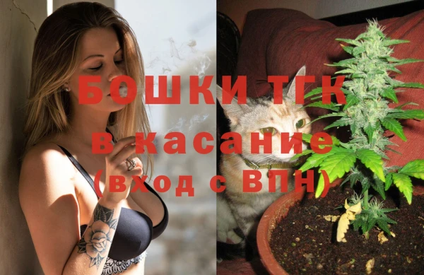 не бодяженный Заводоуковск