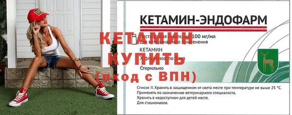 не бодяженный Заводоуковск